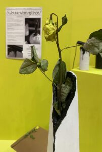IMG_1466-scaled.jpeg